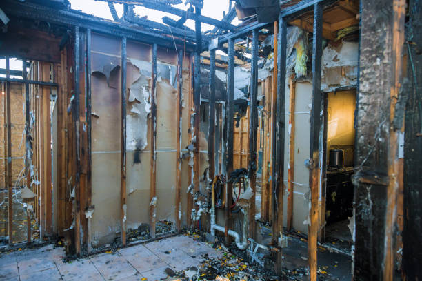 Professional Fire Damage Repair technician working in Mendota, MN