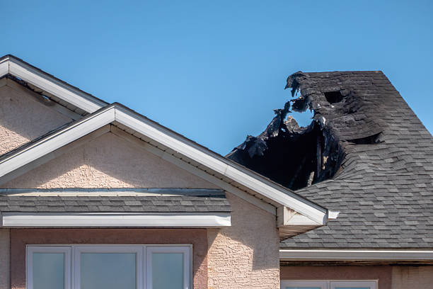 Top rated local Fire Damage Repair specialists in Mendota, MN